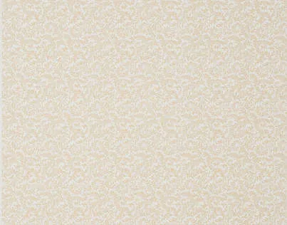 Обои для стен Braquenie Braquenier Wallpapers 403_BP205002