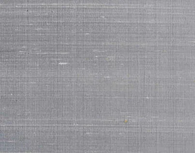 Обои для стен Braquenie Braquenier Wallpapers 403_BP324006