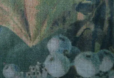 Ткань Jean Paul Gaultier Ca C'est Paris 3439_03