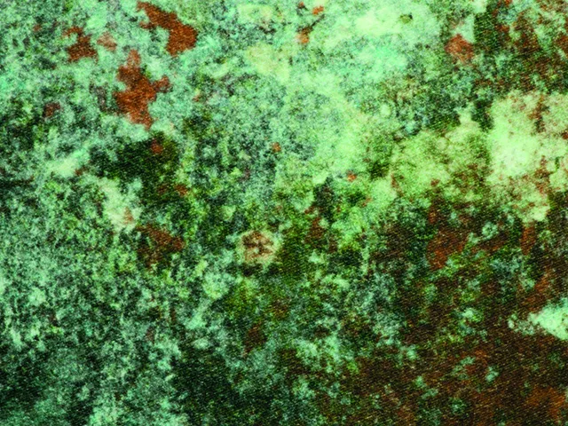 Ткань Jean Paul Gaultier Nature Et Decouverte 3465_01