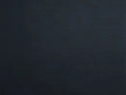 Ткань Lelievre Faux Unis 0483_07