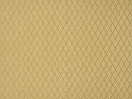 Ткань Lelievre Faux Unis 0484_01