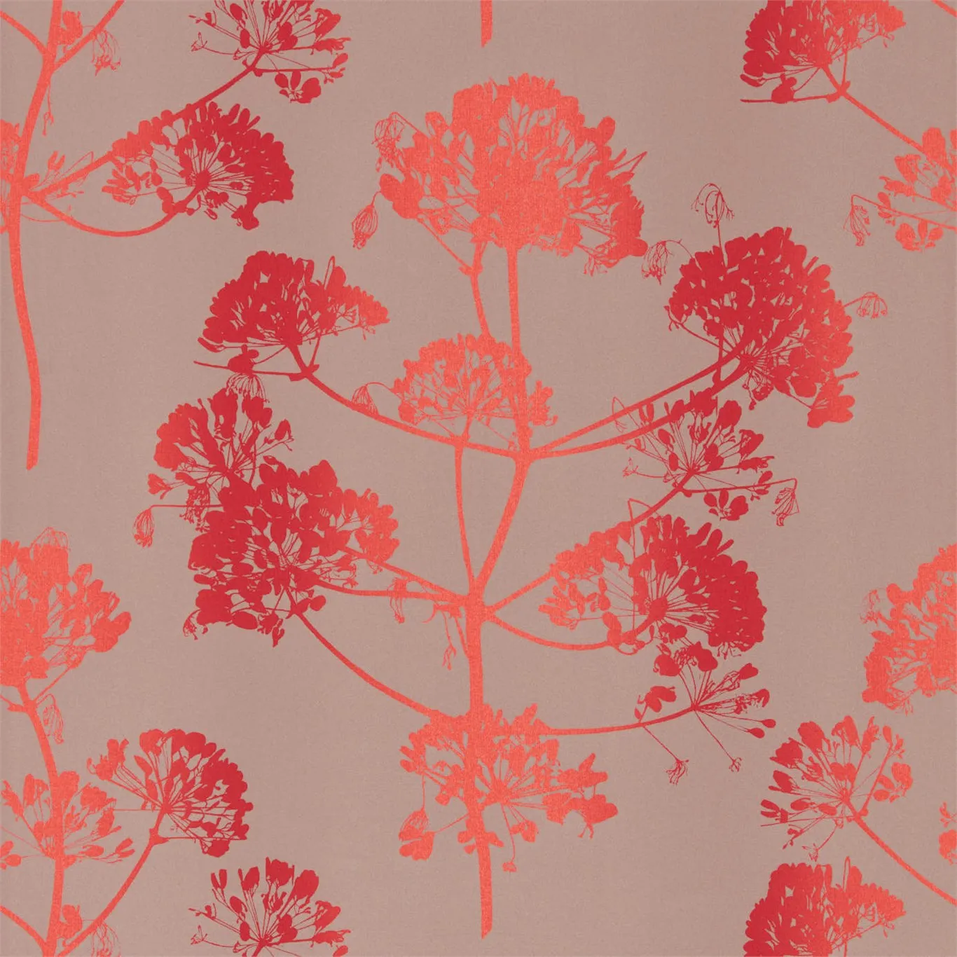 Обои для стен Harlequin Callista Wallpapers 111400