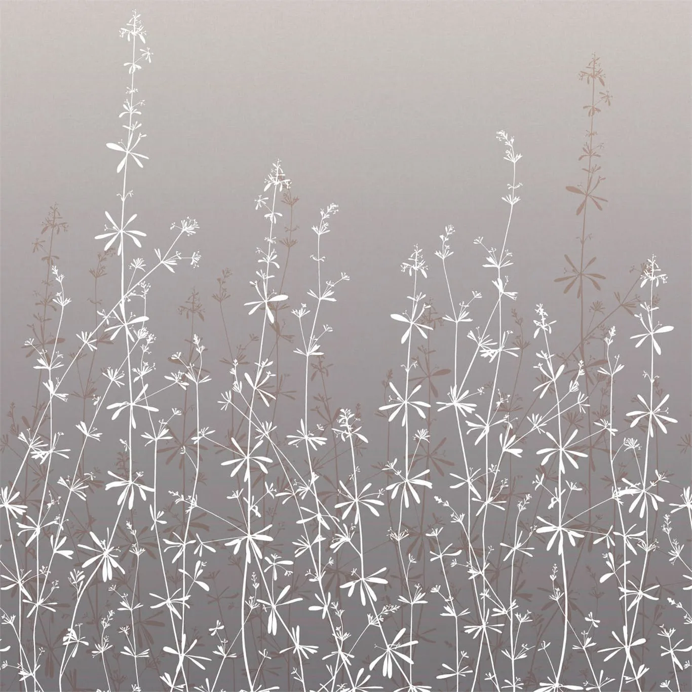 Обои для стен Harlequin Callista Wallpapers 111411