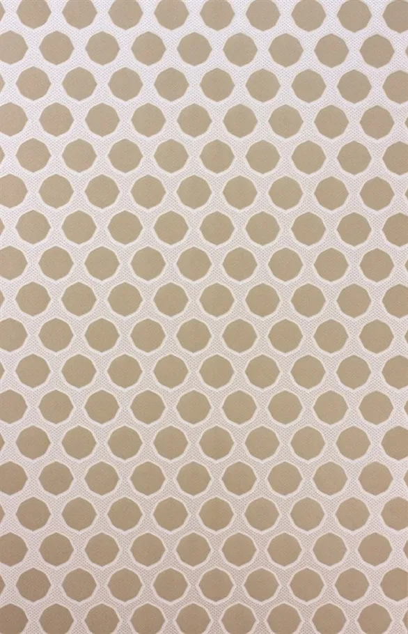 Обои для стен Nina Campbell Coromandel NCW4273-03