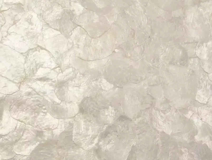 Обои для стен Maya Romanoff Mother of Pearl On the Half Shell MR-MF-11