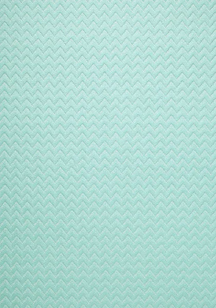 Ткань Thibaut Calypso Fabrics W80367