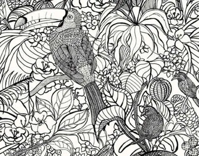 Обои для стен Pierre Frey Les Dessins 2 FP440001