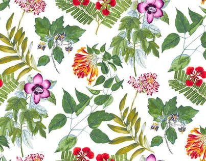 Обои для стен Pierre Frey Les Dessins FP318001