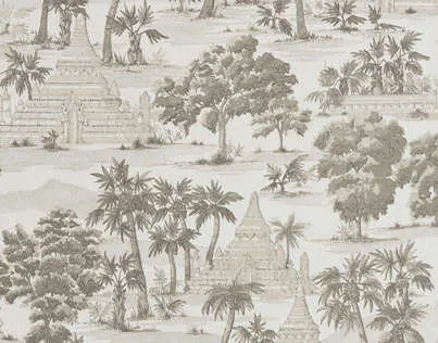 Обои для стен Pierre Frey Les Dessins FP326003