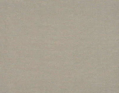 Обои для стен Pierre Frey Racines FP351003