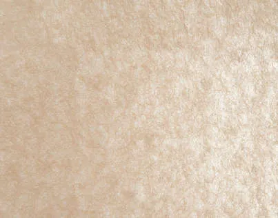 Обои для стен Pierre Frey Racines FP359001