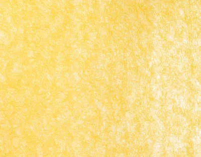 Обои для стен Pierre Frey Racines FP359002