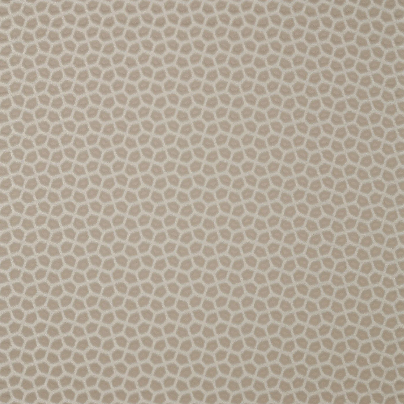 Ткань Zoffany Phaedra Fabrics 332681