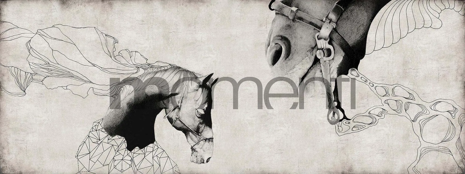 Обои для стен Momenti Animal Collection A-03 Cod. 001