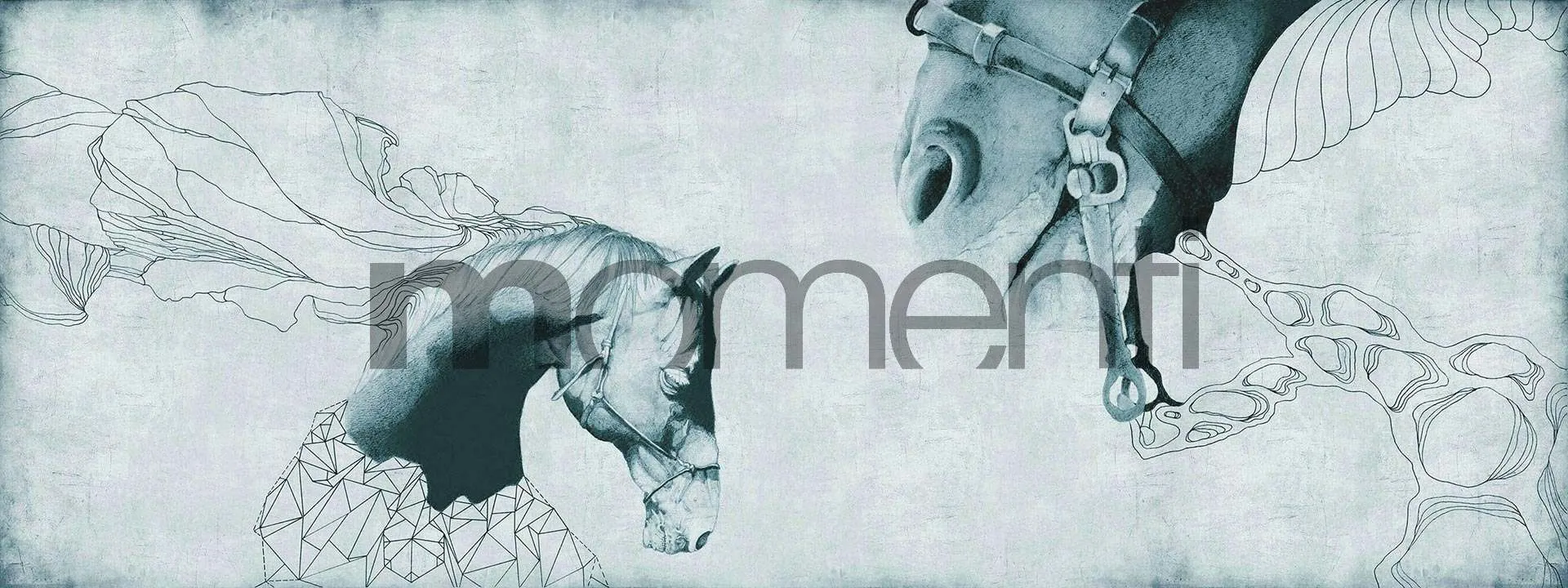 Обои для стен Momenti Animal Collection A-03 Cod. 002