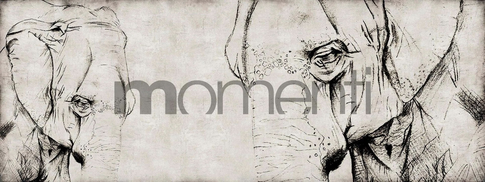 Обои для стен Momenti Animal Collection A-06 Cod. 001