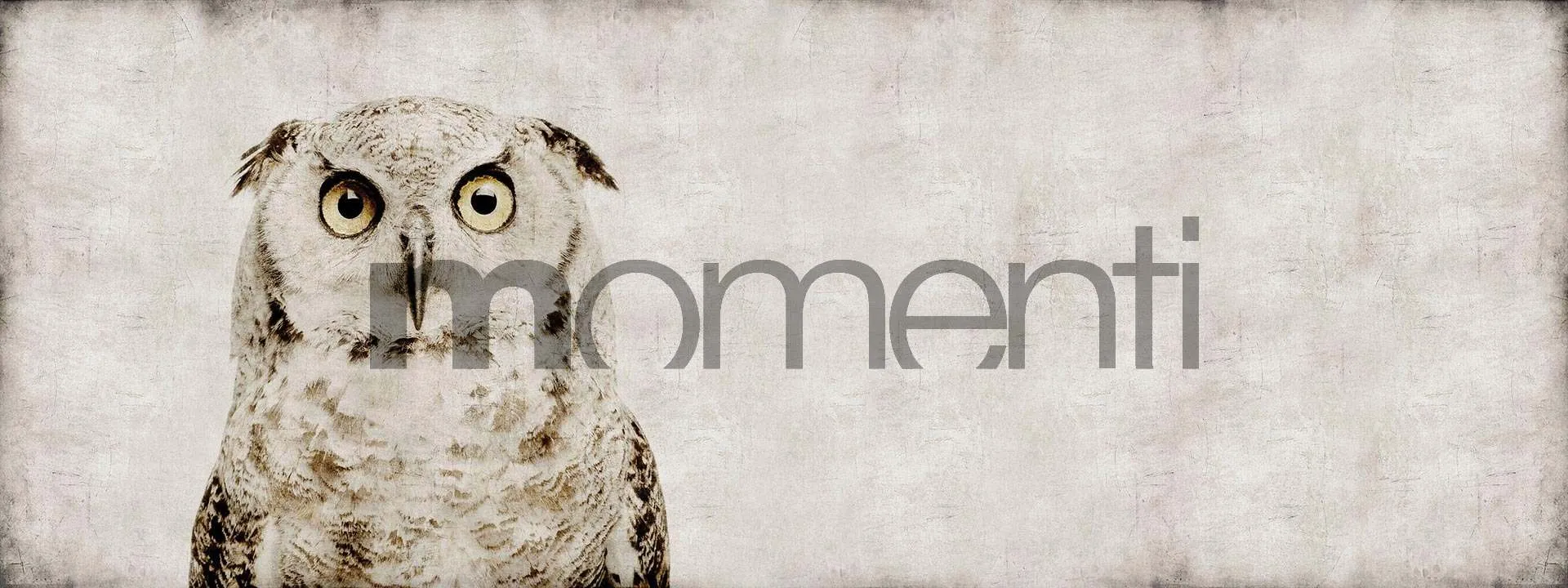 Обои для стен Momenti Animal Collection A-08 Cod. 001