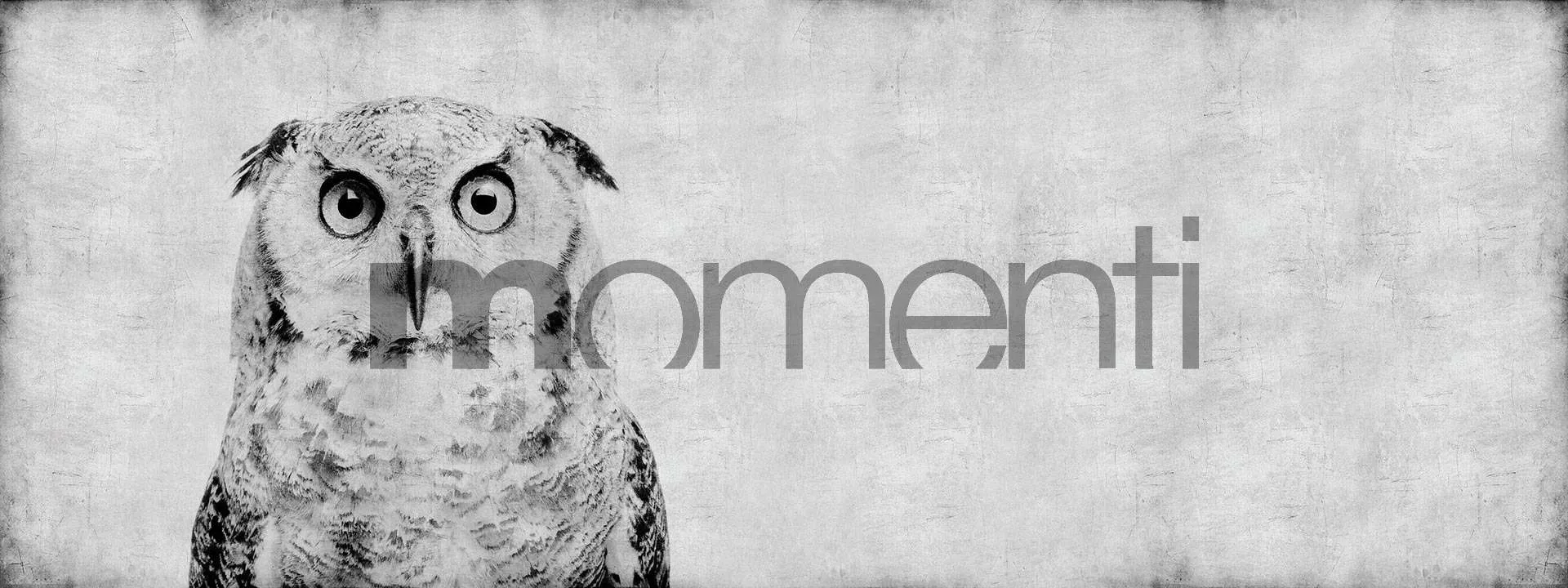 Обои для стен Momenti Animal Collection A-08 Cod. 002