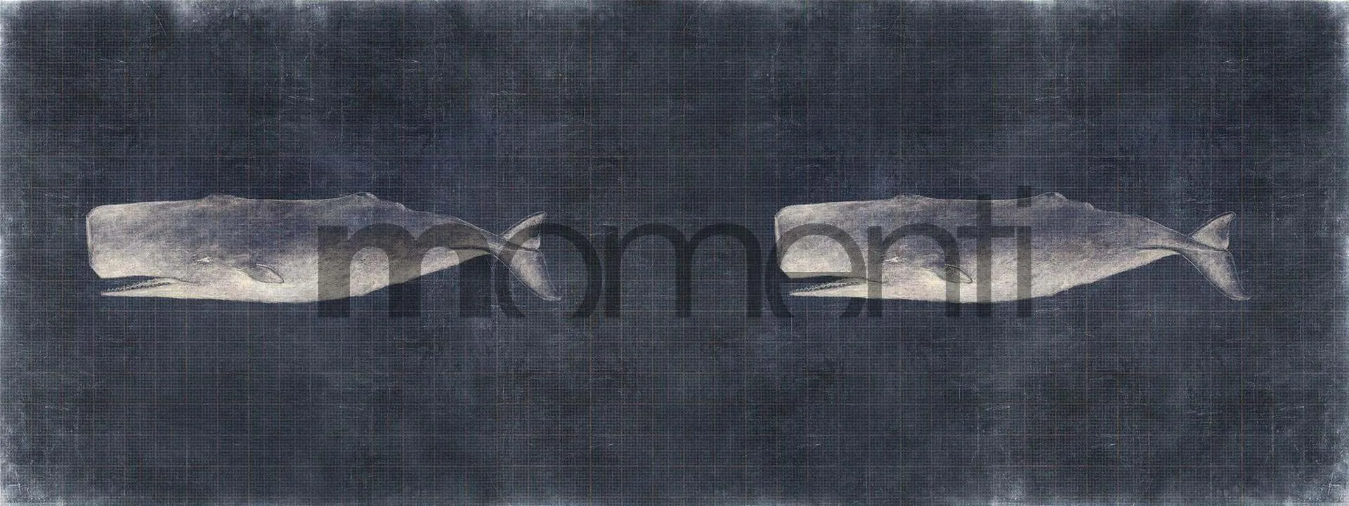 Обои для стен Momenti Animal Collection A-11 Cod. 002