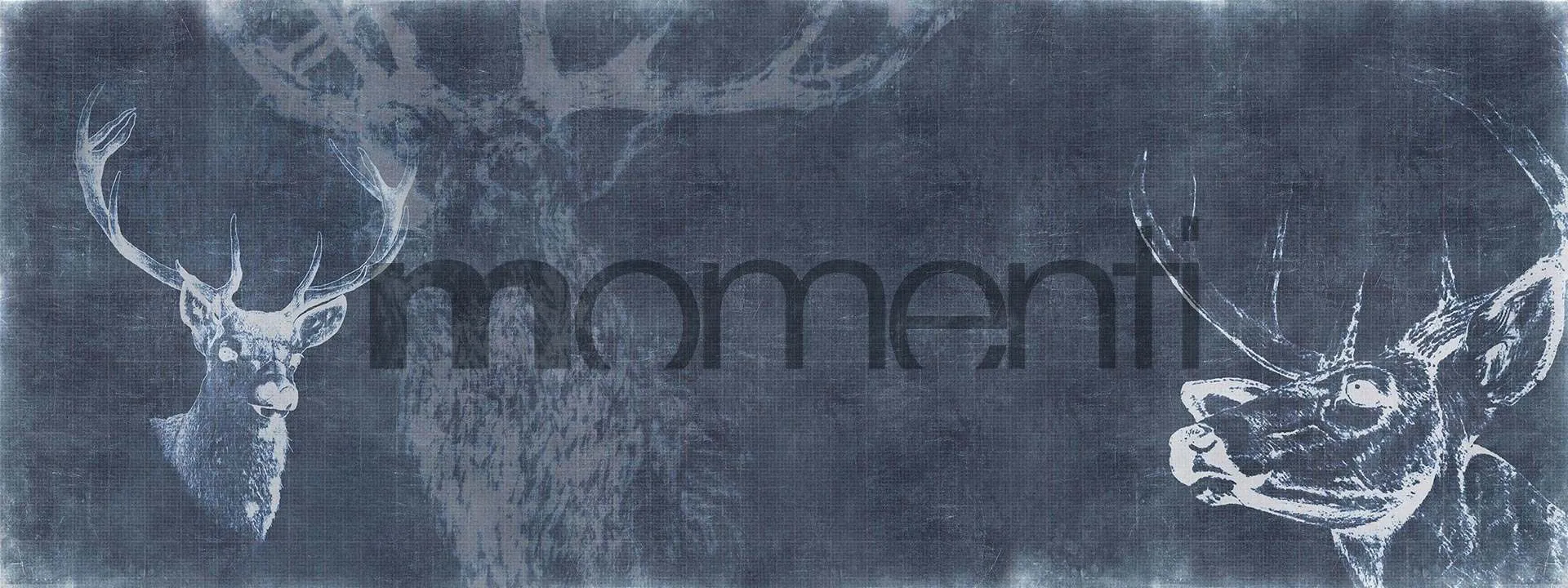 Обои для стен Momenti Animal Collection A-14 Cod. 002