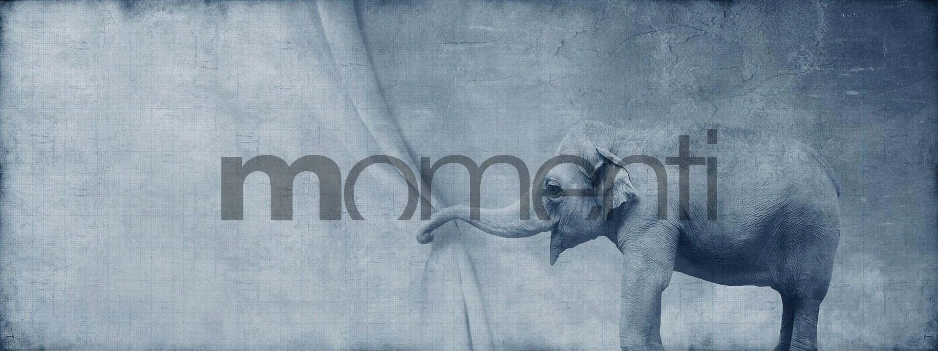 Обои для стен Momenti Animal Collection A-15 Cod. 002