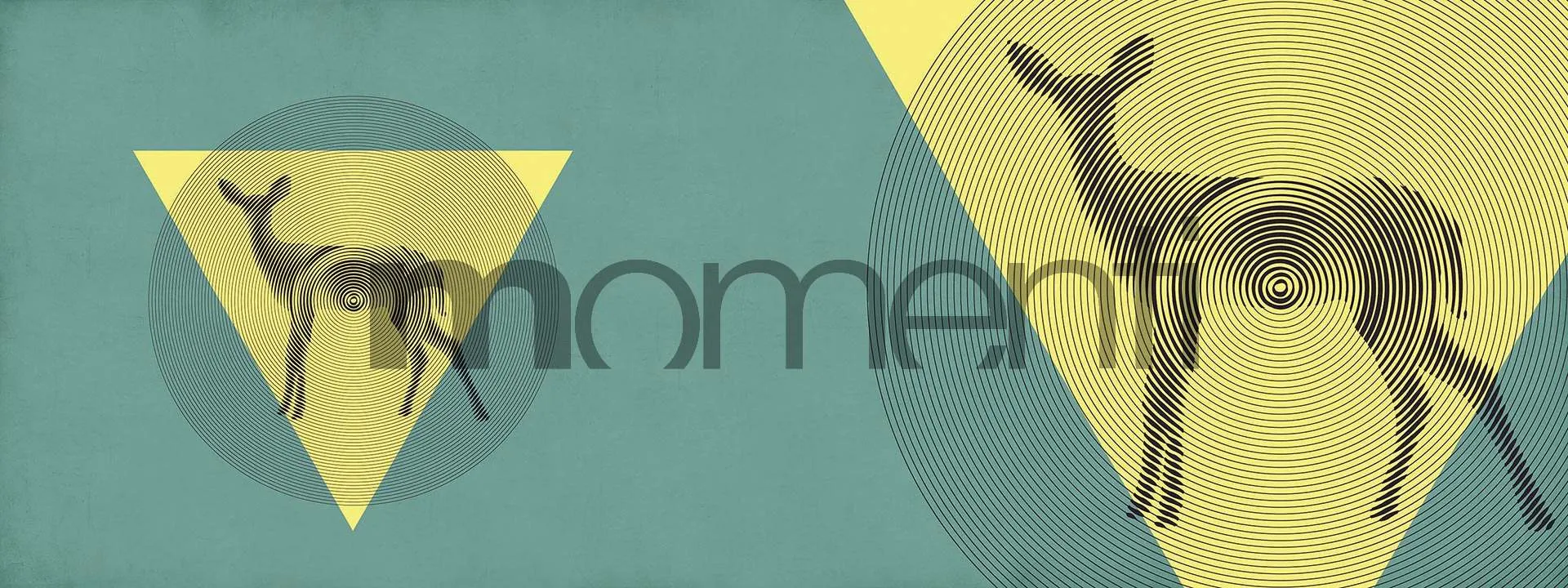 Обои для стен Momenti Animal Collection A-16 Cod. 001