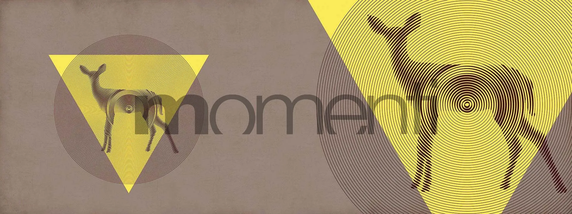 Обои для стен Momenti Animal Collection A-16 Cod. 003