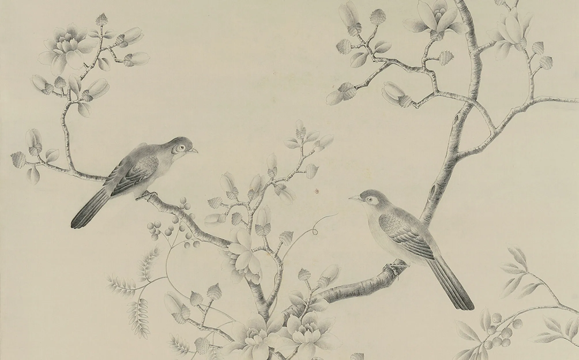 Обои для стен Fromental Chinoiserie C001-nonsuch-col-pencil