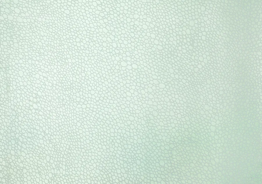Обои для стен Fromental Serigraphe Z005_shagreen_02_katana
