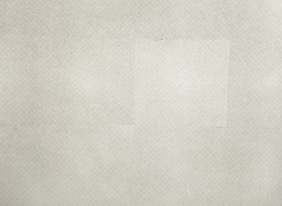 Обои для стен Fromental Serigraphe Z017_metallic_domino_05_pyuta