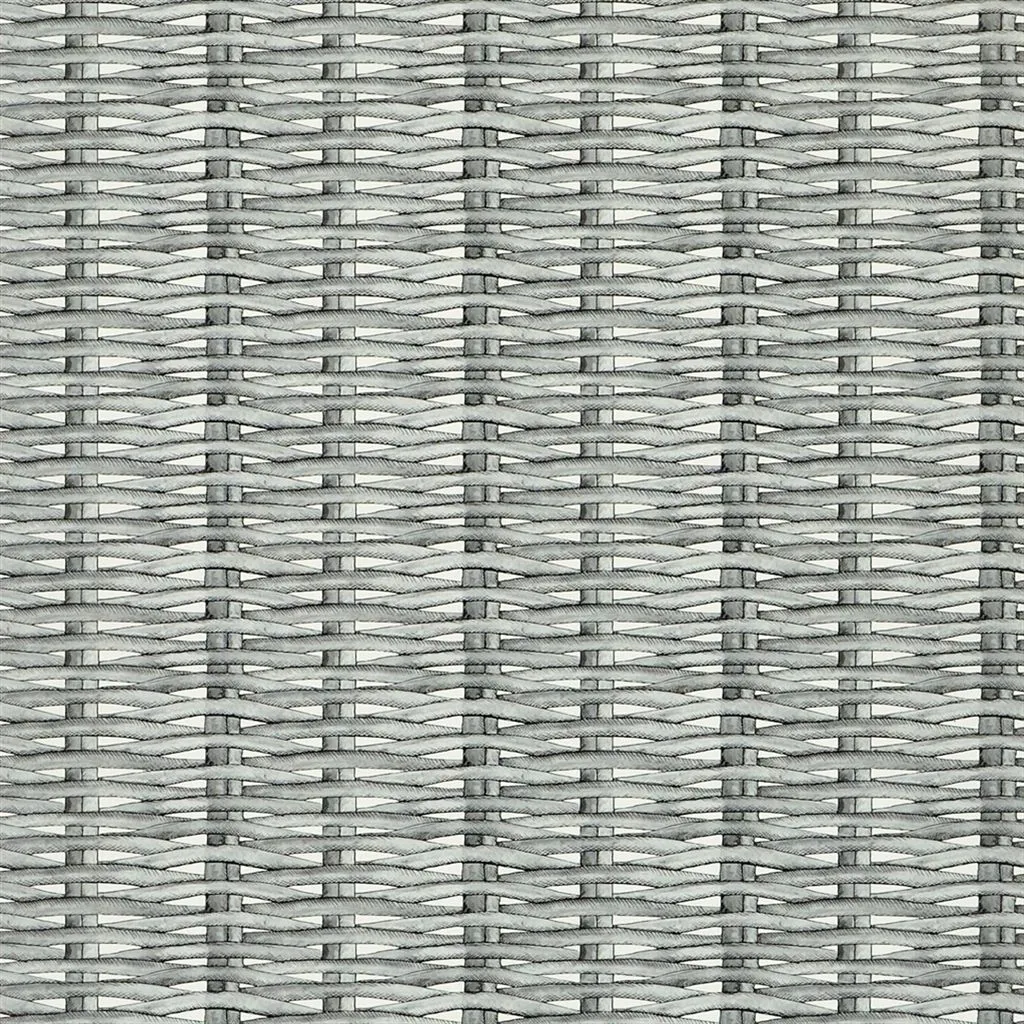 Обои для стен Christian Lacroix Nouveaux Mondes PCL66407