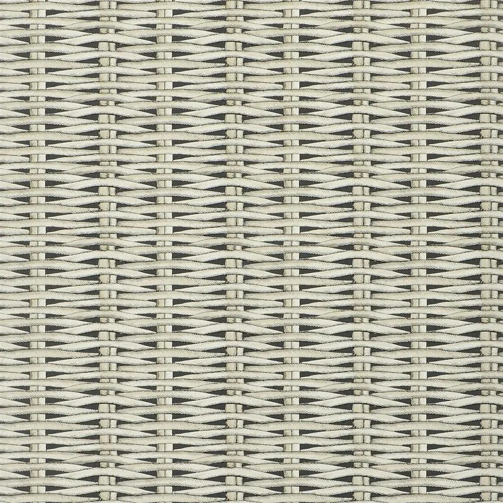 Обои для стен Christian Lacroix Nouveaux Mondes PCL66410