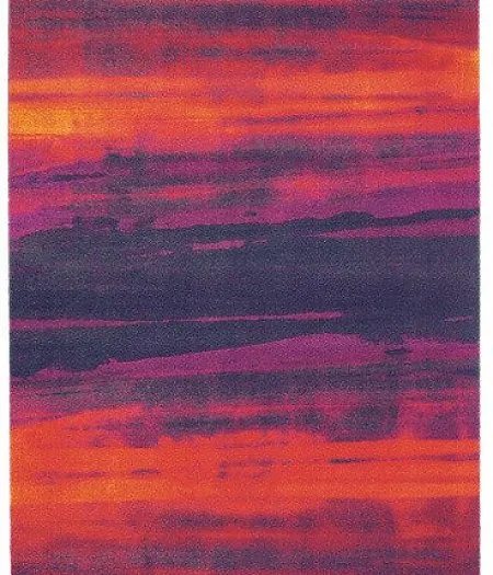 amazilia-log-41600-170x230