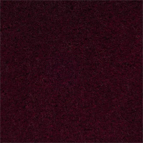 RUG351279