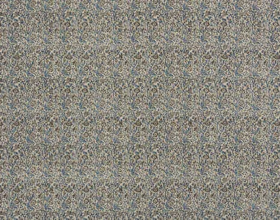 Ткань Pierre Frey Maoming F3156001