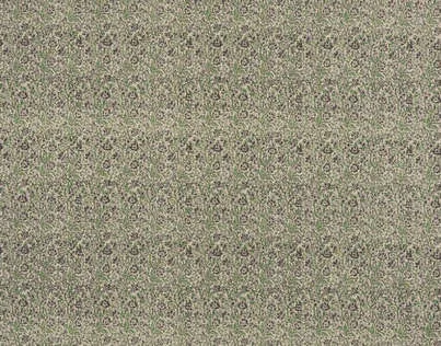 Ткань Pierre Frey Maoming F3156002