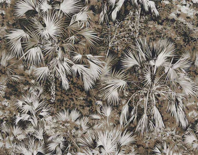 Ткань Pierre Frey Maoming F3204001