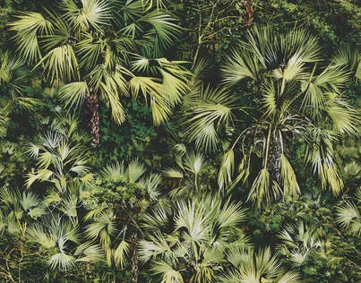 Ткань Pierre Frey Maoming F3204002