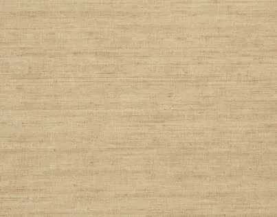 Обои для стен Pierre Frey Guizhou FP475016