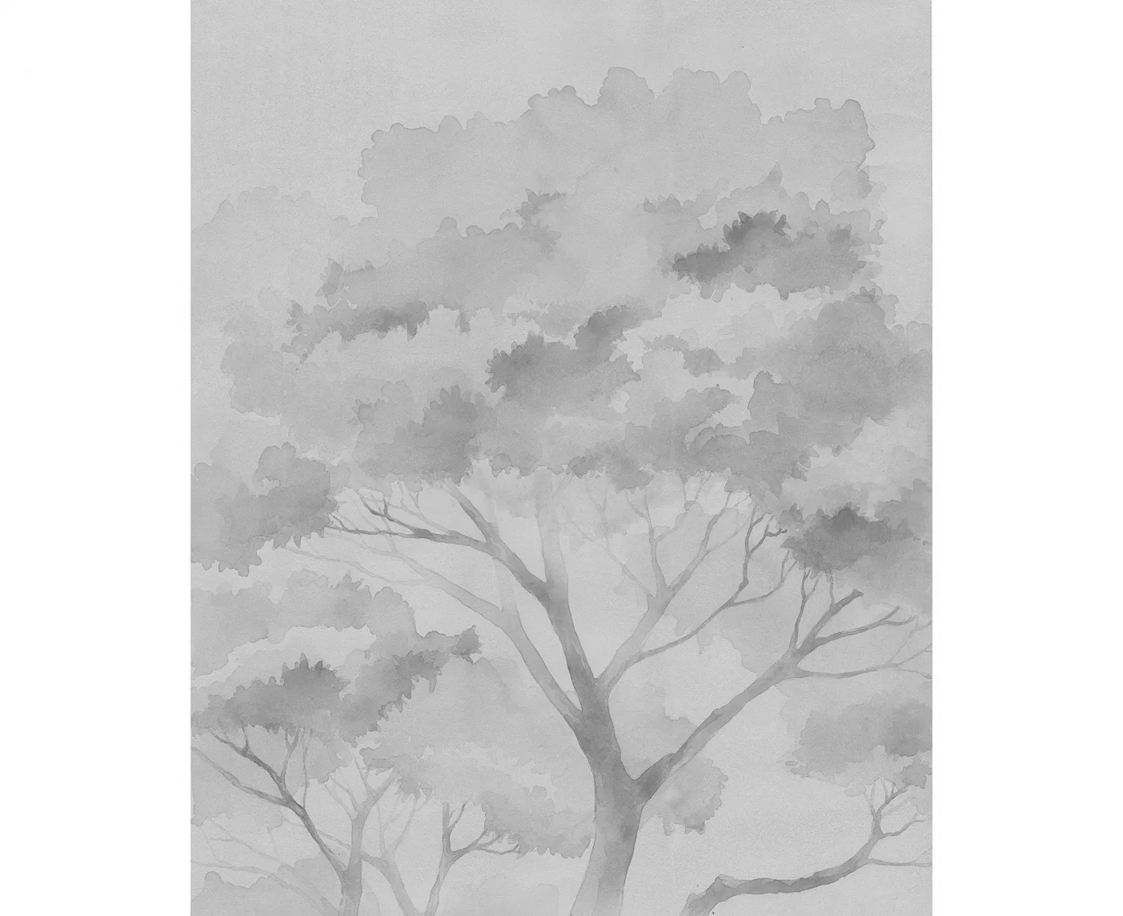 Обои для стен Fresq T.R.01 shop130-5