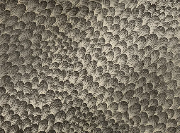 Обои для стен Zinc Escape Wallcoverings ZW116-03