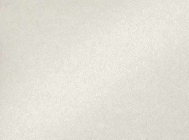 Обои для стен Zinc Escape Wallcoverings ZW121-01