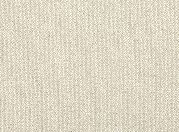 Ткань Zinc Form Weaves Z501-01