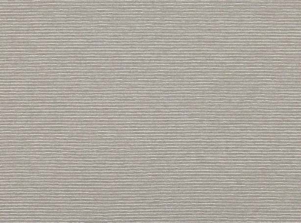 Ткань Zinc Form Weaves Z504-03