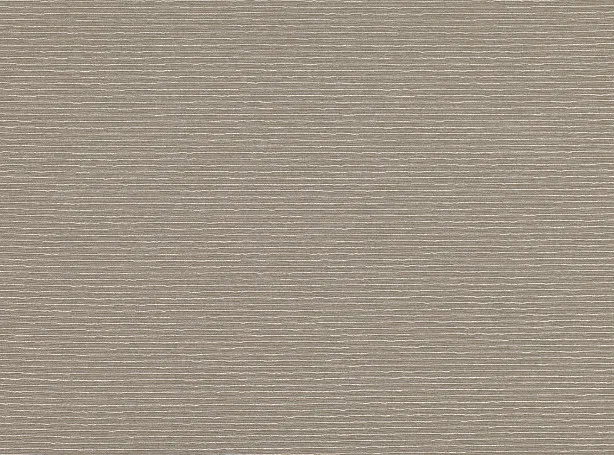 Ткань Zinc Form Weaves Z504-08