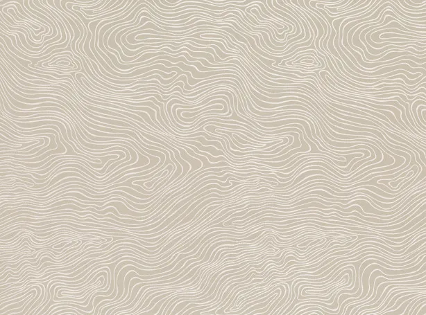 Ткань Zinc Teatro Weaves Z494-02