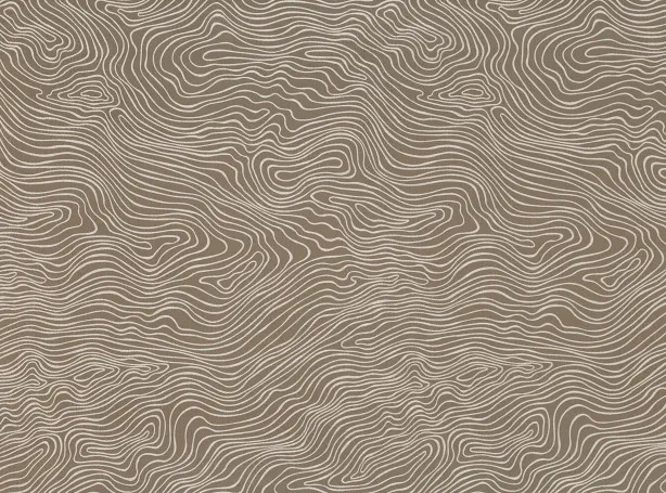 Ткань Zinc Teatro Weaves Z494-03