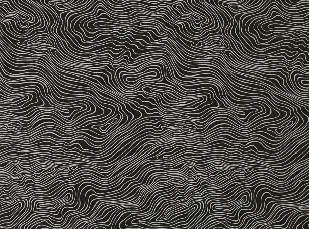 Ткань Zinc Teatro Weaves Z494-05