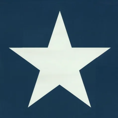 Обои для стен Esta Home Regatta Crew 136454